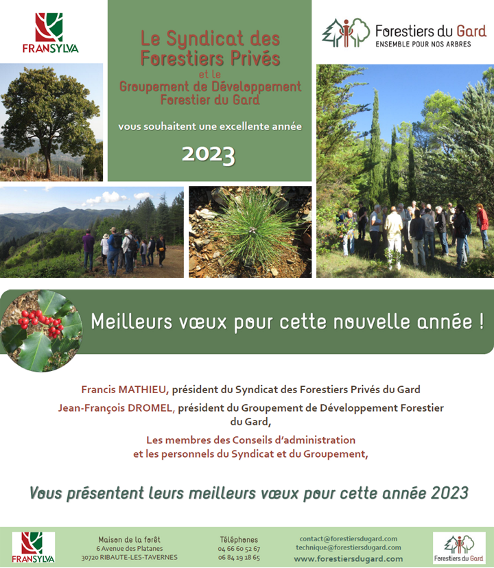 image Bonne année 2023 !